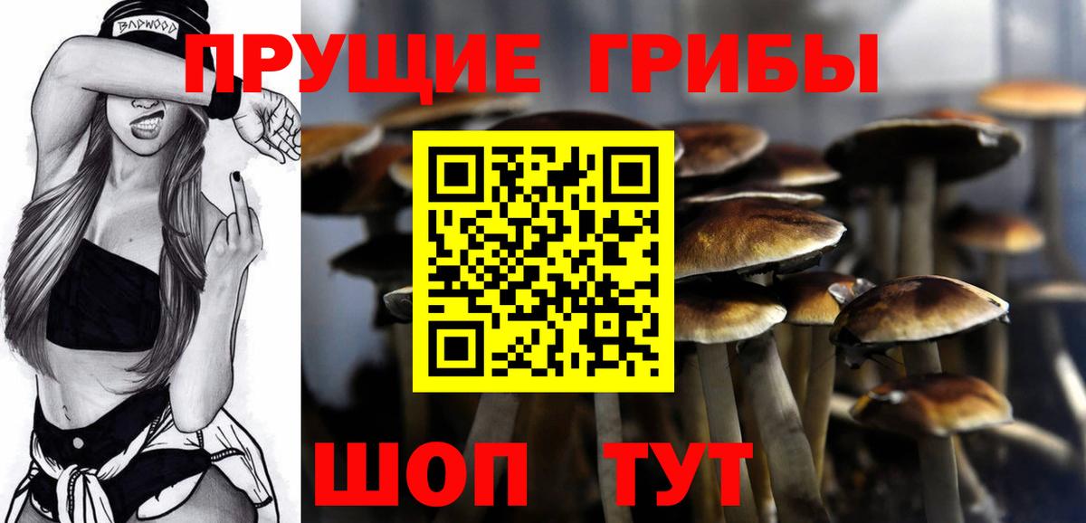 Вятские Поляны  купить закладку  Вход с VPN  Галлюциногенные грибы Psilocybine cubensis 